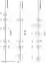 Fig. 10 - Sequencing by emergence