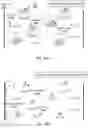 Fig. 19 - Sequencing by emergence