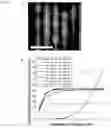 Fig. 07 - DNA SEQUENCING AND EPIGENOME ANALYSIS