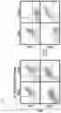 Fig. 12 - DNA SEQUENCING AND EPIGENOME ANALYSIS