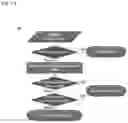 Fig. 16 - DNA SEQUENCING AND EPIGENOME ANALYSIS