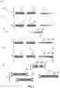 Fig. 03 - Methods of preparing and analyzing cell-free nucleic acid sequencing libraries