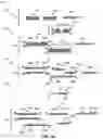 Fig. 05 - Methods of preparing and analyzing cell-free nucleic acid sequencing libraries