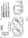 Fig. 07 - Methods for detection of RNase activity