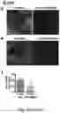 Fig. 10 - Methods for detection of RNase activity