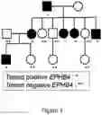 Fig. 02 - Compositions and methods for the diagnosis and treatment of lymphatic system disorders