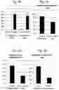 Fig. 07 - Compositions and methods for the diagnosis and treatment of lymphatic system disorders