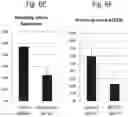 Fig. 09 - Compositions and methods for the diagnosis and treatment of lymphatic system disorders