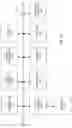 Fig. 32 - Determining a nucleic acid sequence imbalance associated with cancer using multiple markers