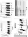Fig. 59 - CELL-FREE DNA DAMAGE ANALYSIS AND ITS CLINICAL APPLICATIONS