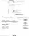 Fig. 63 - CELL-FREE DNA DAMAGE ANALYSIS AND ITS CLINICAL APPLICATIONS