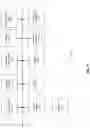Fig. 71 - CELL-FREE DNA DAMAGE ANALYSIS AND ITS CLINICAL APPLICATIONS