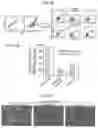 Fig. 07 - METHOD FOR SORTING TISSUE CELLS