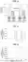 Fig. 03 - Grain-oriented electromagnetic steel sheet and method for producing grain-oriented electromagnetic steel sheet