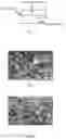 Fig. 02 - Preparation method of a WC cemented carbide with adjustable alignment of plate-shape grains