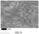 Fig. 03 - TWINNING/TRANSFORMATION INDUCED PLASTICITY HIGH ENTROPY STEELS AND METHOD OF MANUFACTURING THE SAME