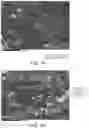 Fig. 04 - TWINNING/TRANSFORMATION INDUCED PLASTICITY HIGH ENTROPY STEELS AND METHOD OF MANUFACTURING THE SAME