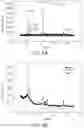 Fig. 05 - TWINNING/TRANSFORMATION INDUCED PLASTICITY HIGH ENTROPY STEELS AND METHOD OF MANUFACTURING THE SAME
