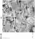 Fig. 06 - CRACK RESISTANT THERMAL SPRAY ALLOY