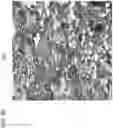 Fig. 07 - CRACK RESISTANT THERMAL SPRAY ALLOY