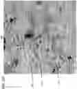 Fig. 08 - CRACK RESISTANT THERMAL SPRAY ALLOY