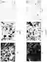 Fig. 06 - METHOD OF MAKING NON-GALLING PARTS USING AMORPHOUS METAL SURFACES