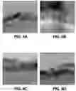 Fig. 15 - Photoelectrochemical cell