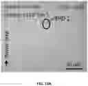 Fig. 13 - Elimination of Basal Plane Dislocation and Pinning the Conversion Point Below the Epilayer Interface for SiC Power Device Applications