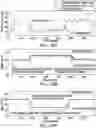 Fig. 19 - Methods and systems for performing automated drilling of a wellbore