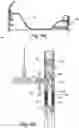 Fig. 05 - Pipe for cableless bidirectional data transmission and the continuous circulation of stabilizing fluid in a well for the extraction of formation fluids and a pipe string comprising at least one of said pipes