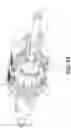 Fig. 18 - Engine with work stroke and gas exchange through piston rod