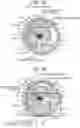 Fig. 19 - Rolling cylinder displacement compressor