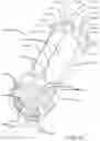 Fig. 10 - Adjustable-length bail extension