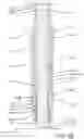 Fig. 13 - Adjustable-length bail extension