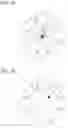 Fig. 08 - Ball bearing