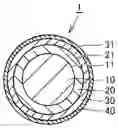 Fig. 01 - Wire material for canted coil spring and canted coil spring