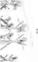 Fig. 15 - Grillage apparatus and method of using and making same