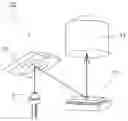 Fig. 01 - Fluorescent module and illumination device