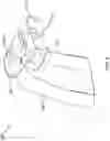 Fig. 09 - Sneaky Hunters Boot Lamp