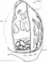 Fig. 01 - Cosmetic makeup sponge/blender container