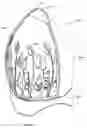 Fig. 04 - Cosmetic makeup sponge/blender container