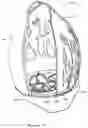 Fig. 06 - Cosmetic makeup sponge/blender container
