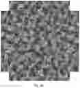 Fig. 06 - Substrate with camouflage pattern