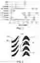 Fig. 02 - Projectile apparatus for smooth bore barrels