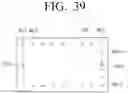 Fig. 40 - Flexible apparatus and method for controlling operation thereof