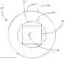 Fig. 01 - Transparent ceramic composition