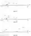 Fig. 11 - PARTICLE DETECTION