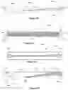 Fig. 12 - PARTICLE DETECTION