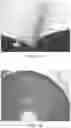 Fig. 02 - Fluorescence based extracellular enzyme activity assay for early detection of biofouling in seawater desalination systems