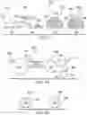 Fig. 04 - Fluorescence based extracellular enzyme activity assay for early detection of biofouling in seawater desalination systems
